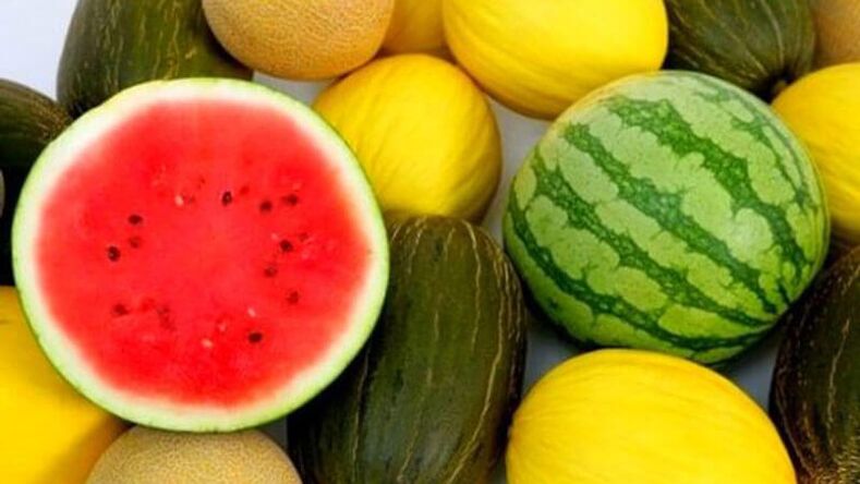 Watermelon and melon - berries dangerous for diabetics